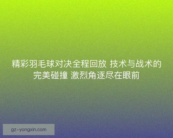 精彩羽毛球对决全程回放 技术与战术的完美碰撞 激烈角逐尽在眼前