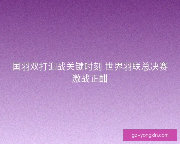 国羽双打迎战关键时刻 世界羽联总决赛激战正酣 国羽双打迎战关键时刻 世界羽联总决赛激战正酣